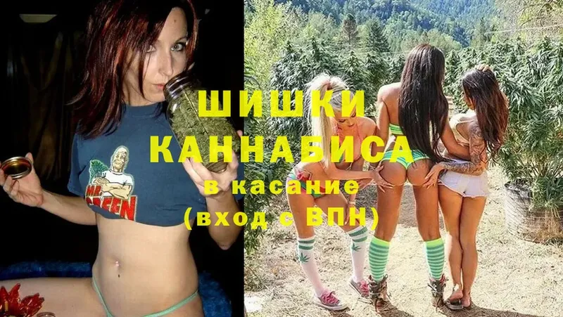 Бошки марихуана VHQ  Карачаевск 